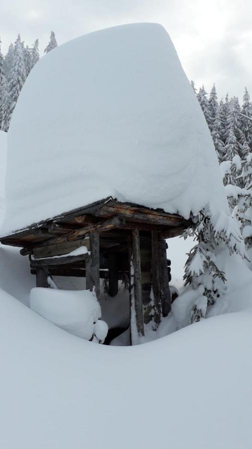 Haus Hoellwart Sankt Johann im Pongau Luaran gambar