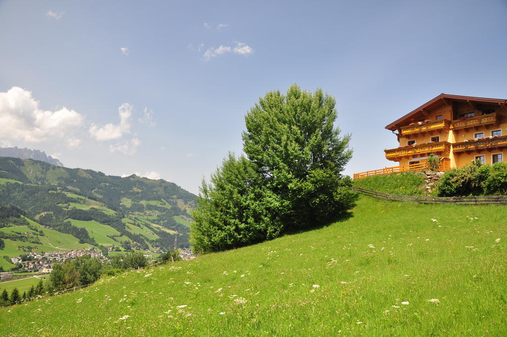 Haus Hoellwart Sankt Johann im Pongau Luaran gambar