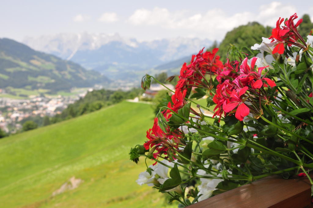 Haus Hoellwart Sankt Johann im Pongau Luaran gambar